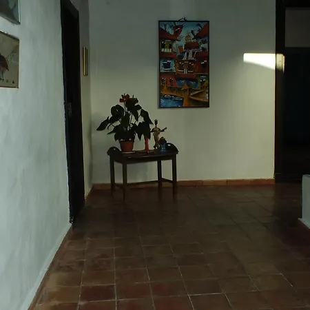 Casa Las Flores *